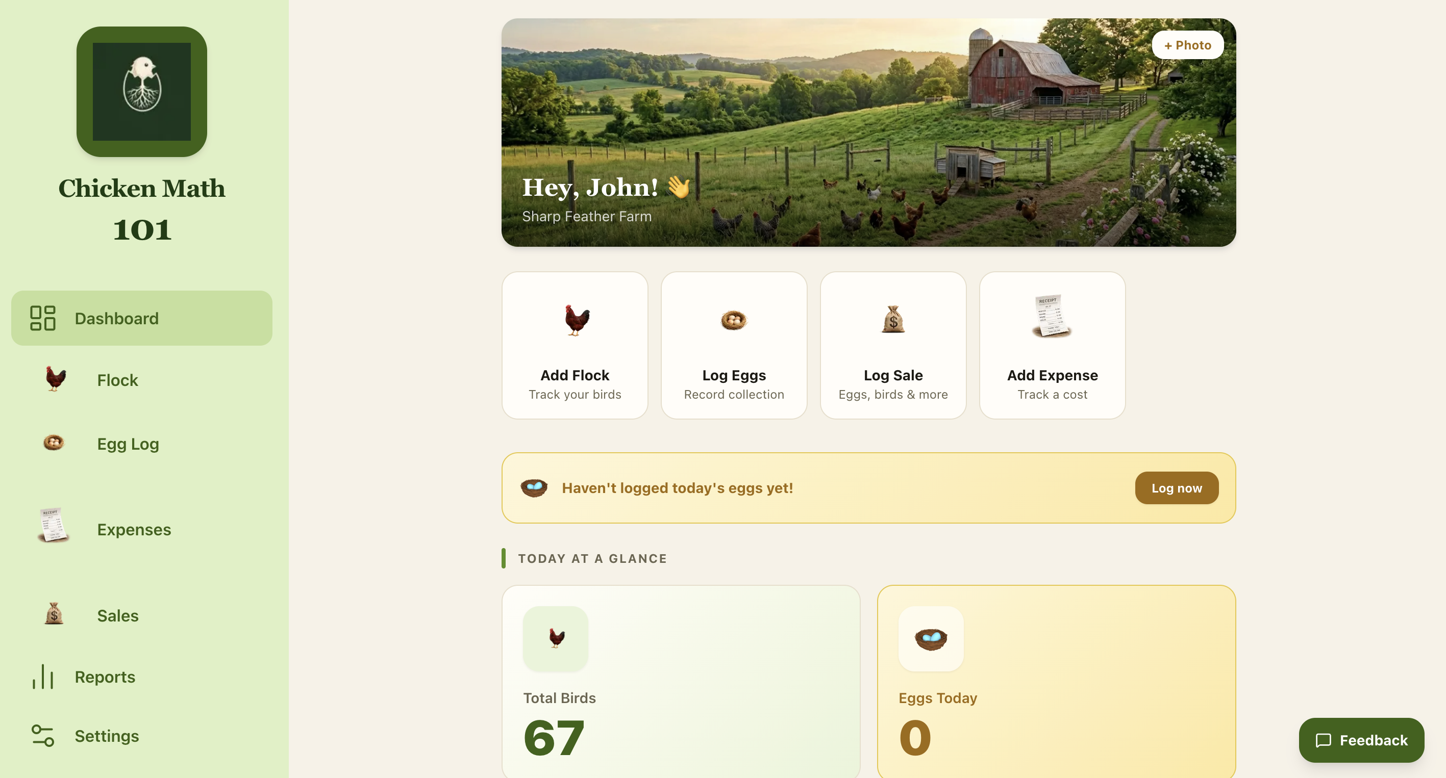 Chicken Math 101 dashboard